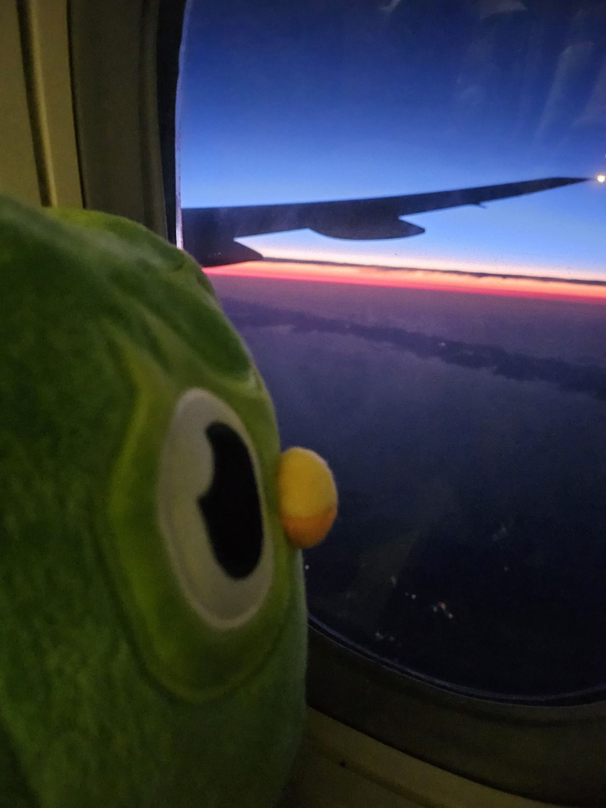 Don't pay attention to this trend, I'm just observing the view from this trashy thread