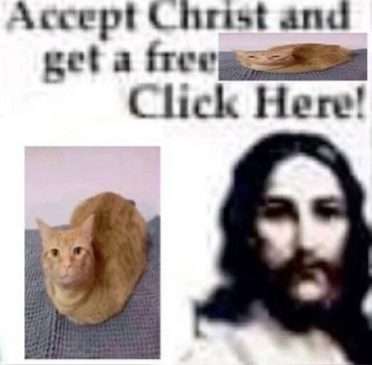 Create your namefag list here